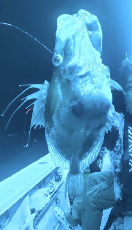 小浜沖 イカメタル バチコン