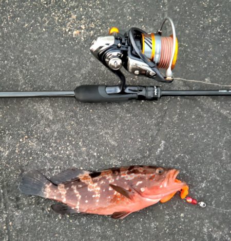 初テキサスリグ