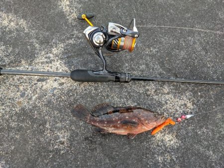 やらかしました…