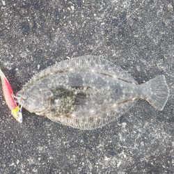 鮃釣り