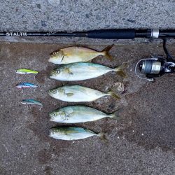 プチsalt water game