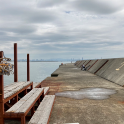 ノマセでクロダイ