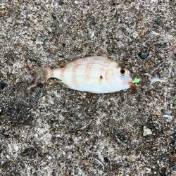 台風の影響はあまりなく