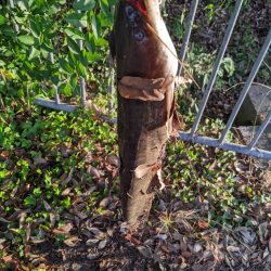 僅かな水位でも…