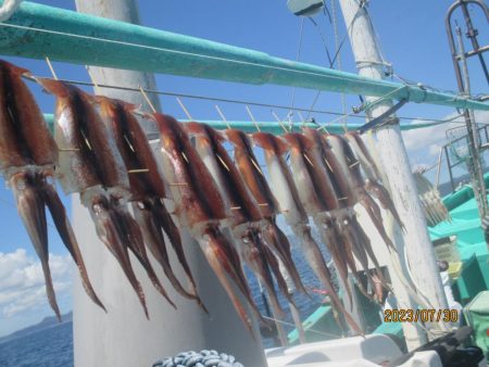 するめいか8～12杯