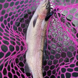 釣食浪漫 ～雨乞い？！～