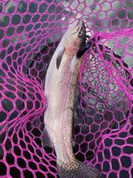 釣食浪漫 ～雨乞い？！～