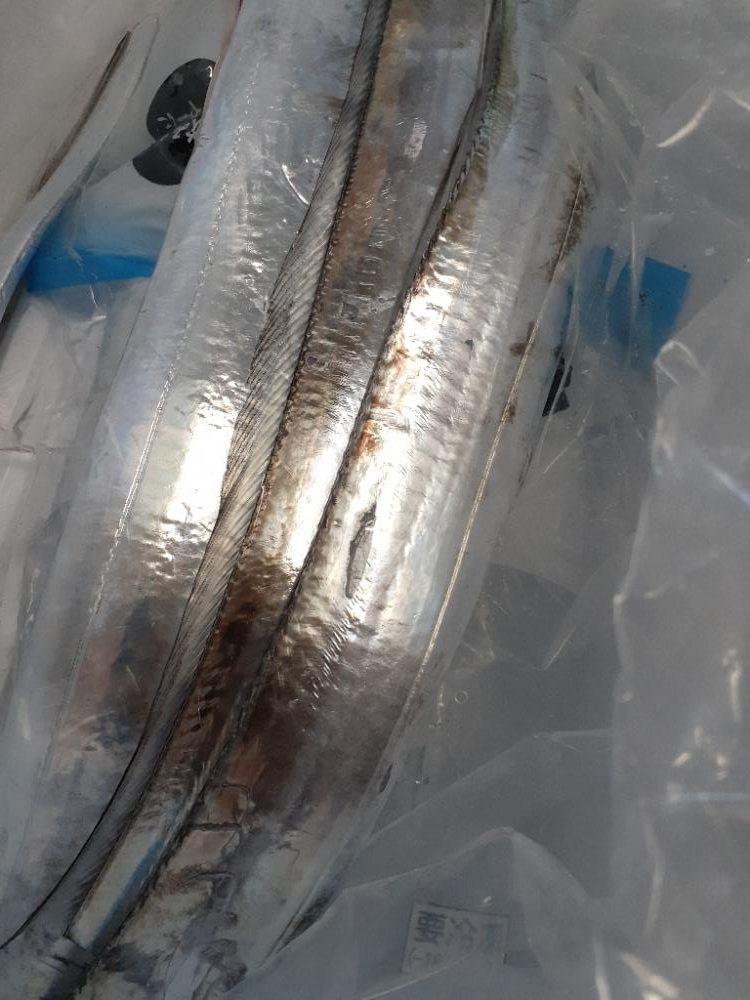 入れ食いなんですがっ😖