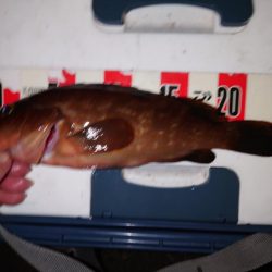 ロックなんだぜ