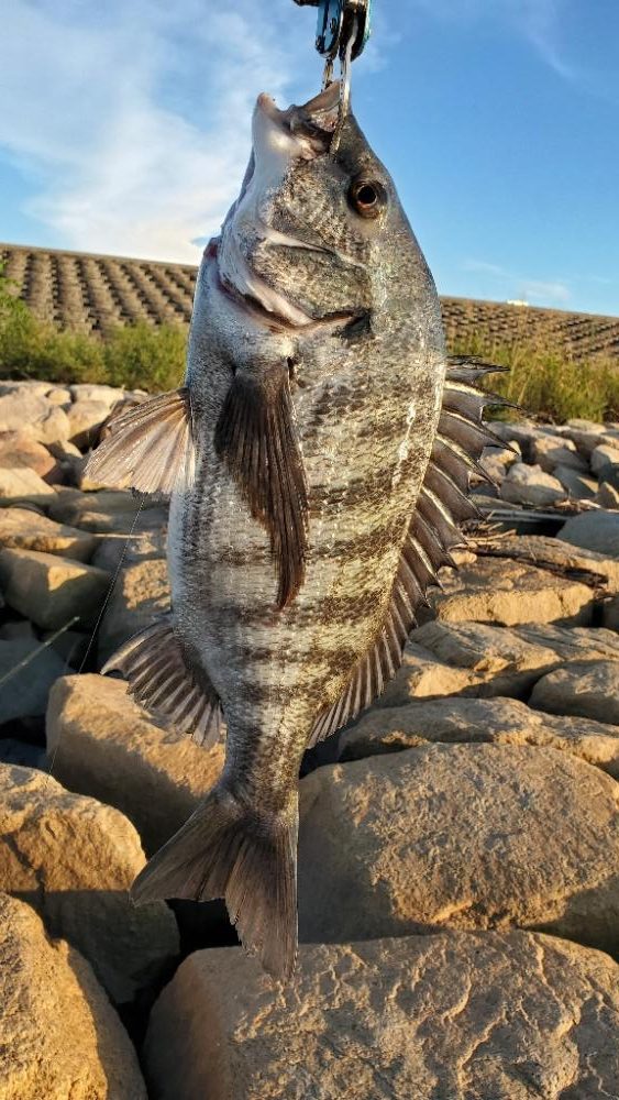 夕涼み&花火チニング