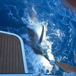 初めてのカジキマグロ釣り