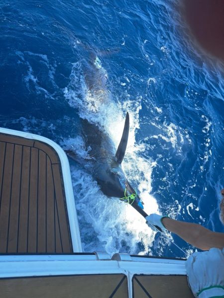 初めてのカジキマグロ釣り