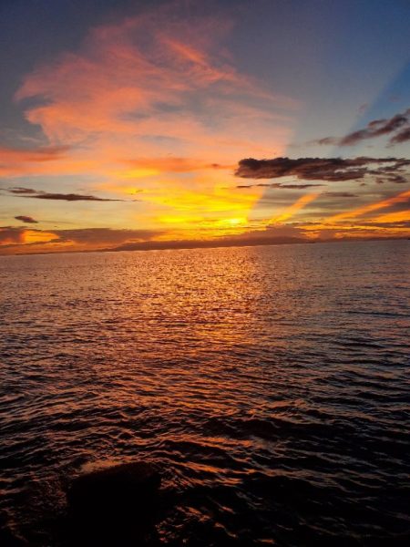 釣れるのはいつも