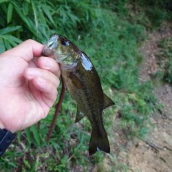 仕事前フィッシング！