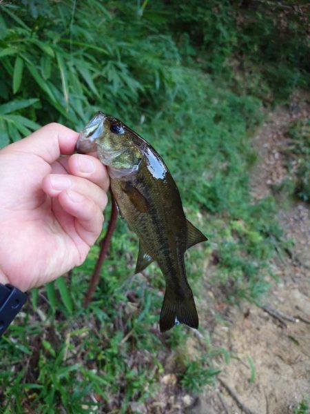 仕事前フィッシング！