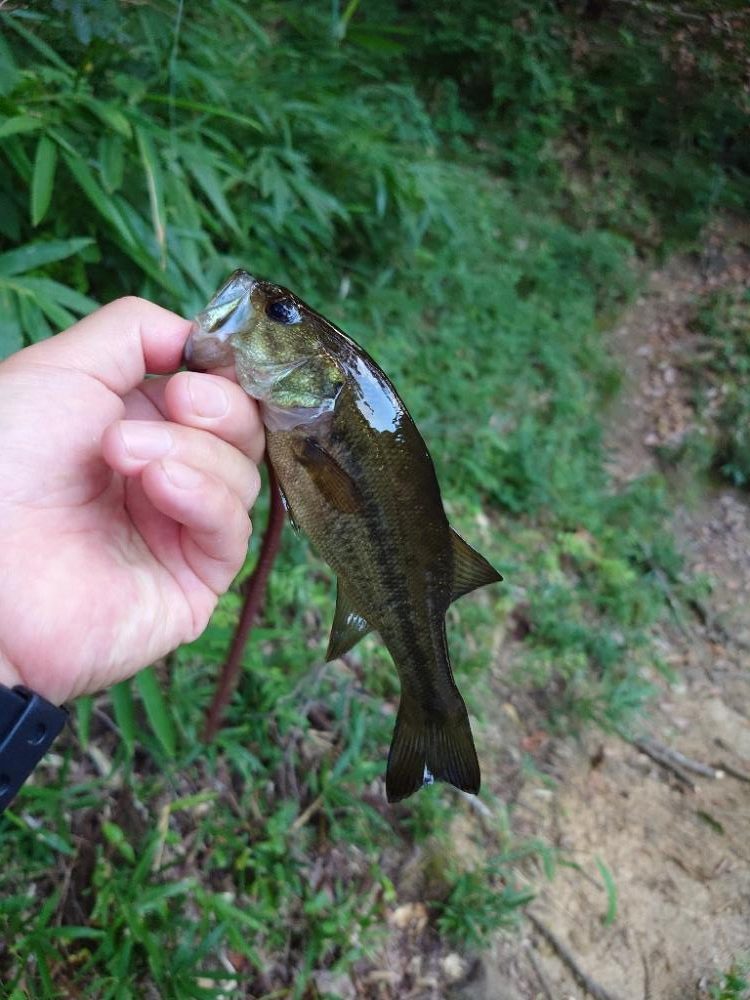 仕事前フィッシング！