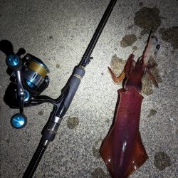 夜でも熱中症に注意