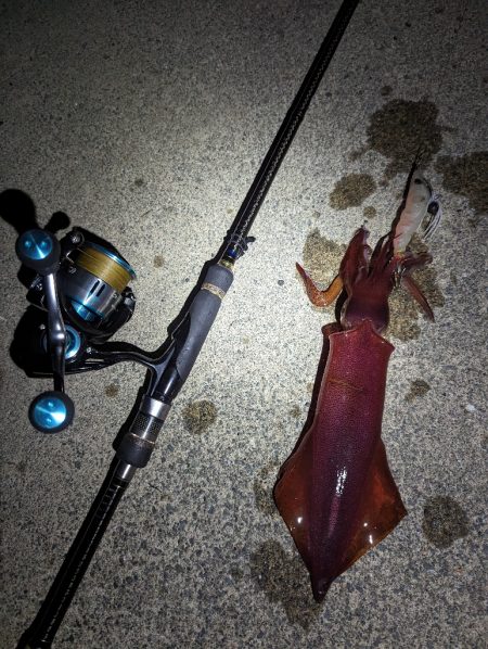 夜でも熱中症に注意