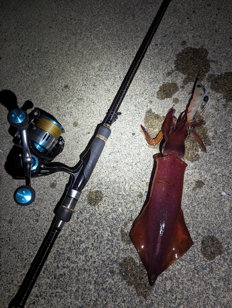 夜でも熱中症に注意