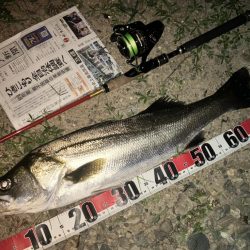 久しぶりのウェーディングでした