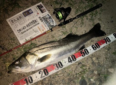 久しぶりのウェーディングでした