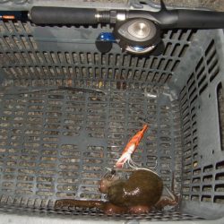 相変わらず渋い