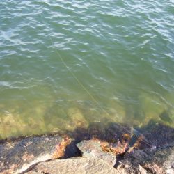 まとまった雨が降ったので