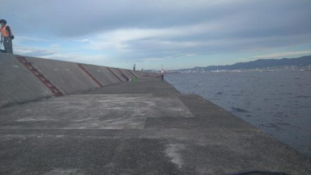 青物はまだか…