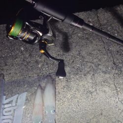 ライトエギング！？