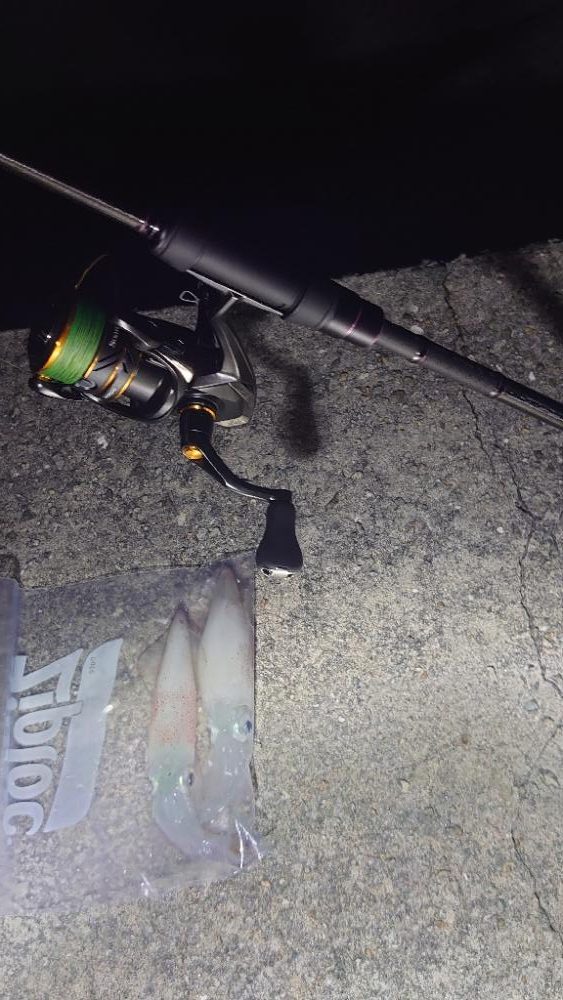 ライトエギング!?