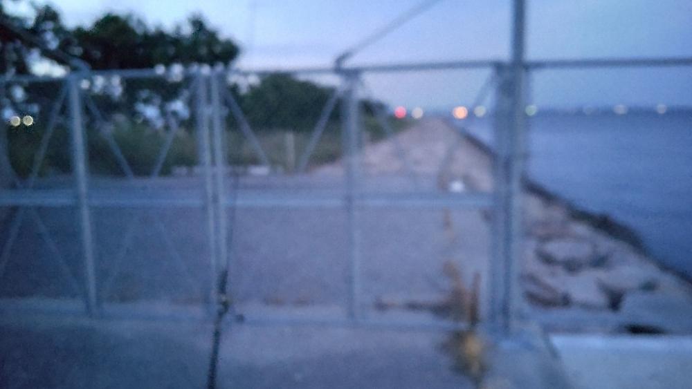 マイポイントオープン