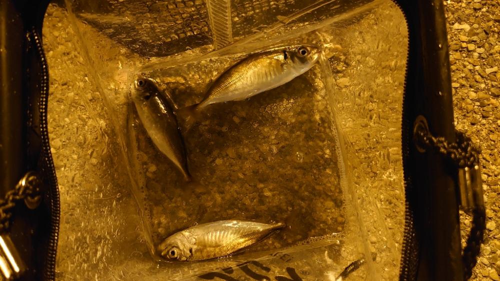 思ってたのと違いますやん！