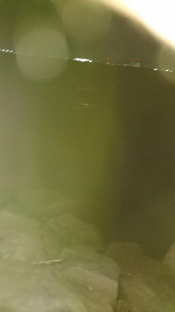 今日も安定釣果す