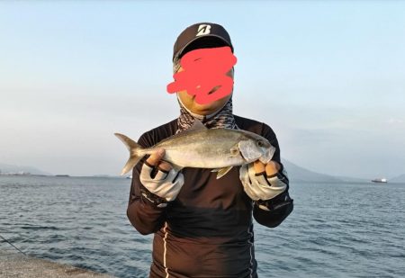 夕マズメにネイゴ釣れました！