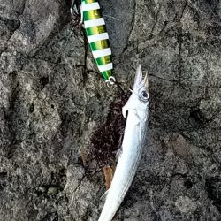 60gのジグに……