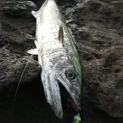 フォールでボトム付近