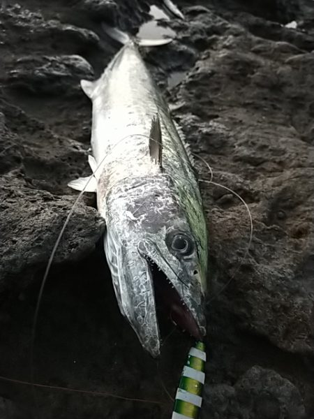 フォールでボトム付近