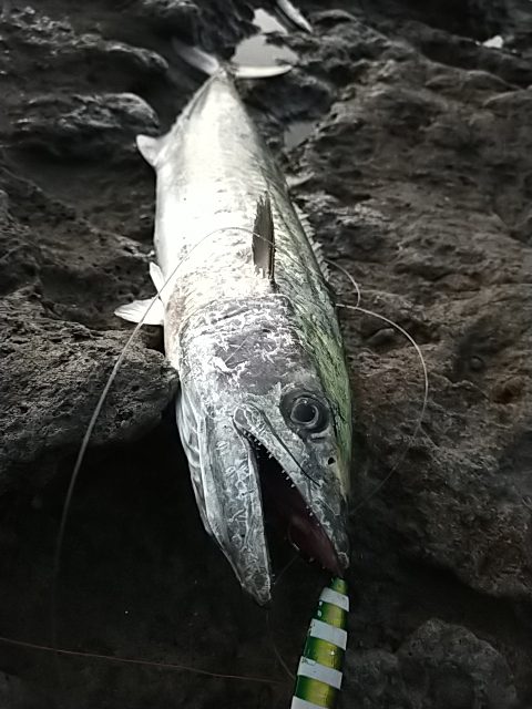 フォールでボトム付近