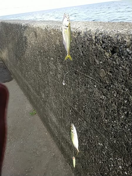 濁ってましたが…