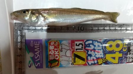 イベントトライ