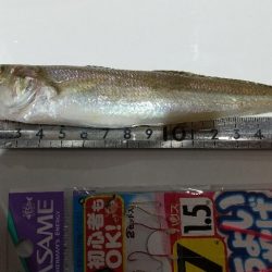 イベントトライ(キス)