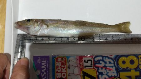 イベントトライ(キス)