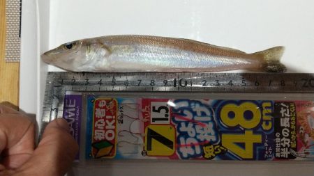 イベントリトライ(キス更新)