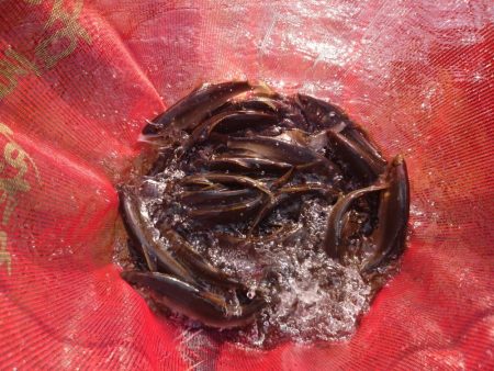 ぶっ飛ぶ目印２日目