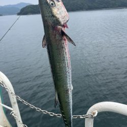 牛深　マイクロベイトボイル攻略