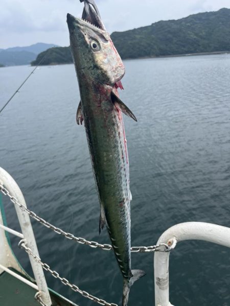 牛深　マイクロベイトボイル攻略