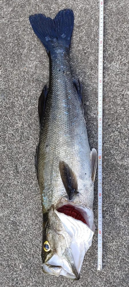 ４年ぶりの隠岐の島