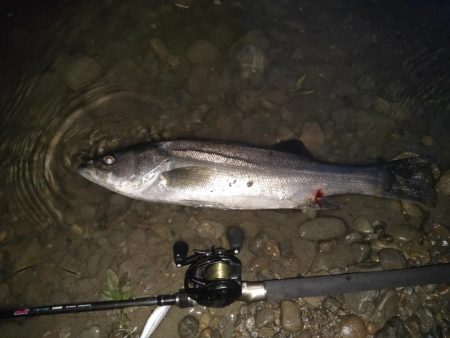 とにかく釣れたが怒られた