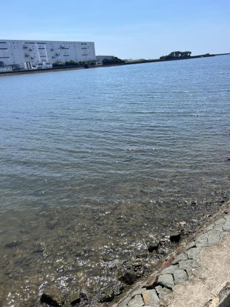 3日間狙って釣れたのは？