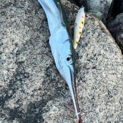 釣れそうな気がしたので